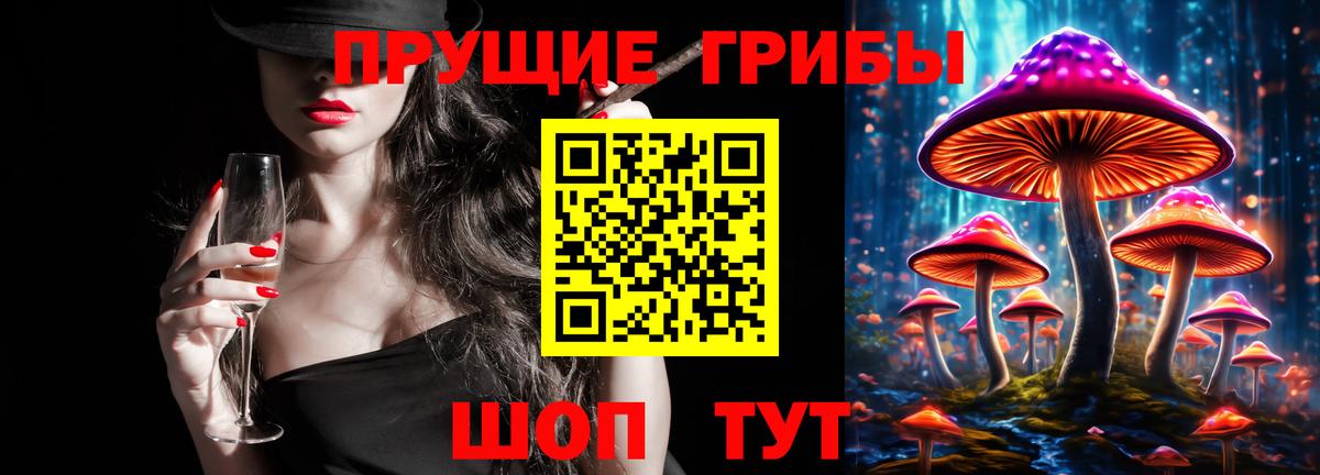 Псилоцибиновые грибы MAGIC MUSHROOMS  Псилоцибиновые грибы GOLDEN TEACHER  Советск  Вход с VPN 